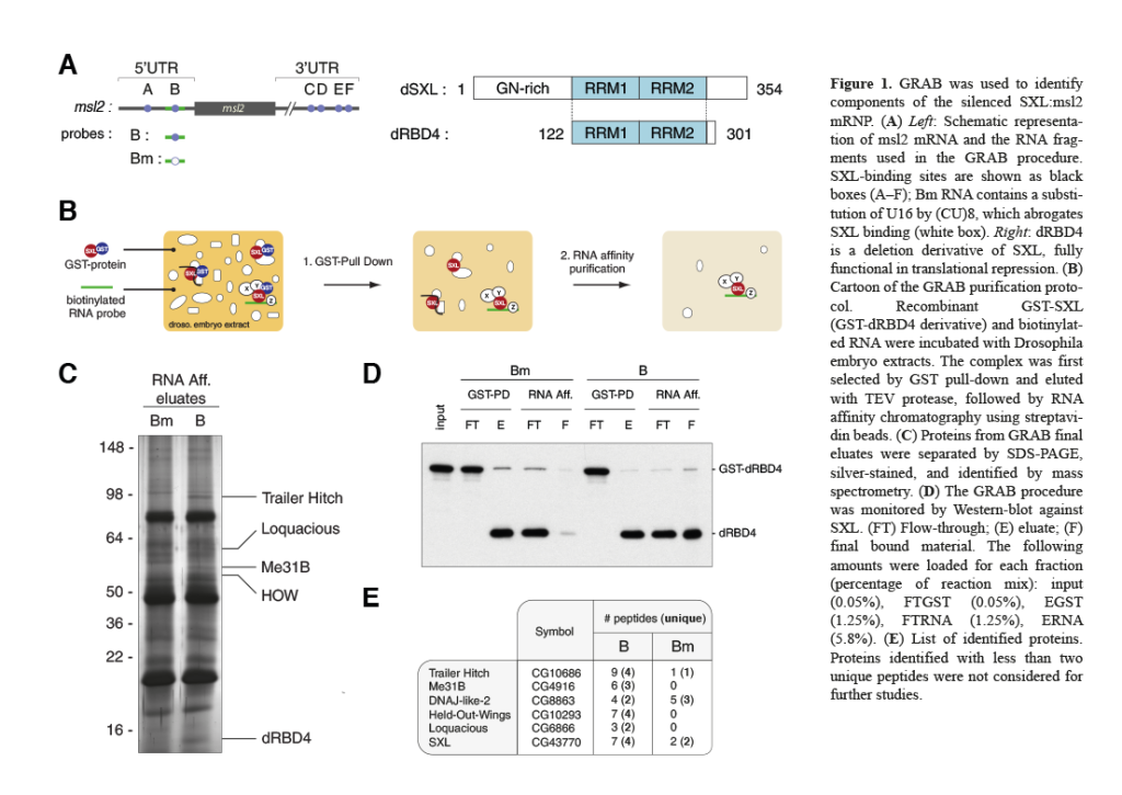 Figure scientific article