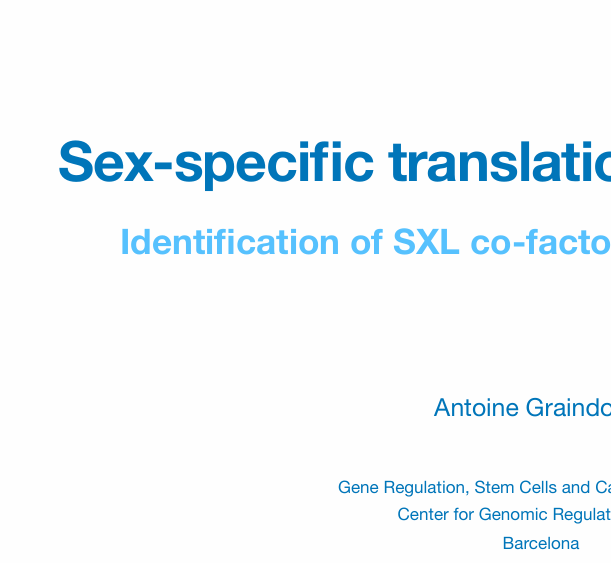 Model scientific presentation
