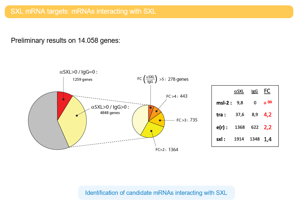 Model scientific presentation
