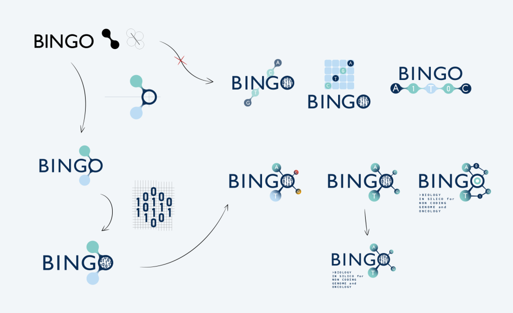 BINGO IGDR
