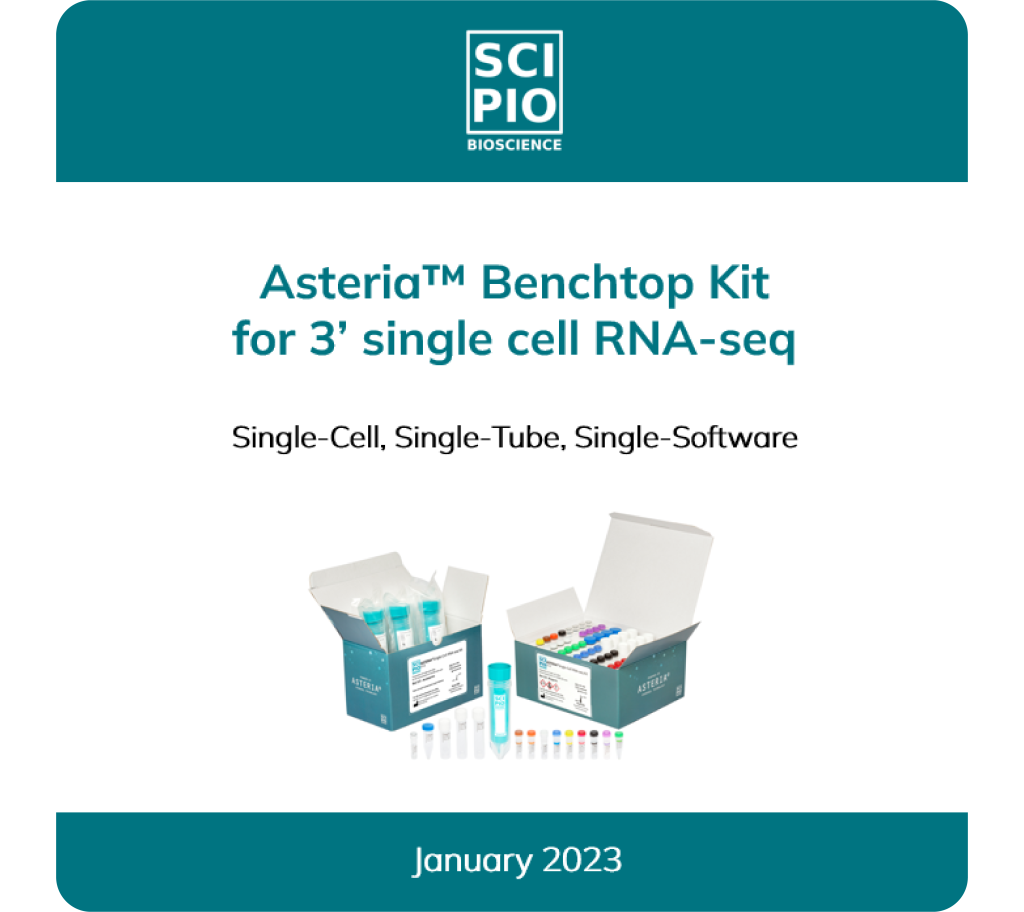 Presentation_Asteria_carré_rounded