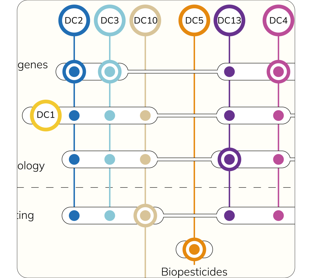 ProjectDiagram_carré_rounded